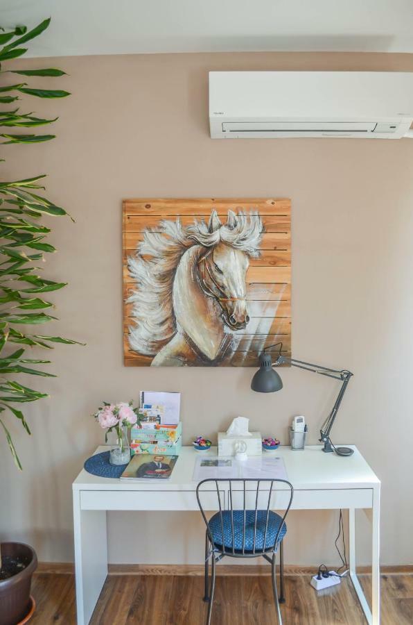 Host Housee Angel's -2 Bedroom, 2 Bathroom In Centre Sofya